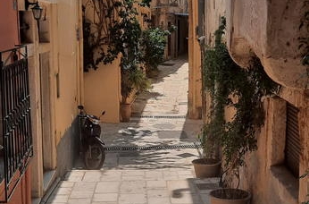 Zdjęcie: Erasmus (38).jpg