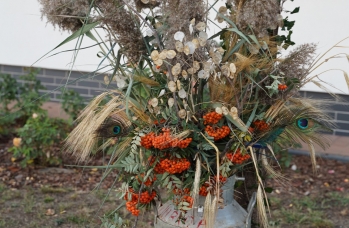 Zdjęcie: 301922382_566141308638268_5051611669256239572_n.jpg