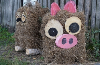 Zdjęcie: 302156694_566141385304927_5962631963385564798_n.jpg