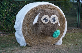 Zdjęcie: 301849774_566141441971588_4759498297805591872_n.jpg