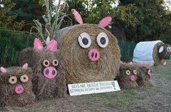 Zdjęcie: 301802326_566141488638250_5326302668596514725_n.jpg