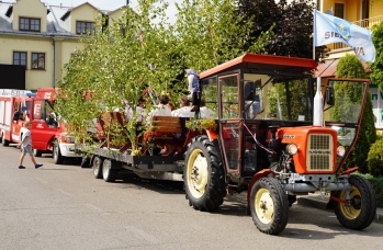 Zdjęcie: DSC03692.jpg