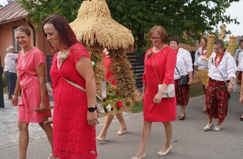 Zdjęcie: DSC03774.jpg