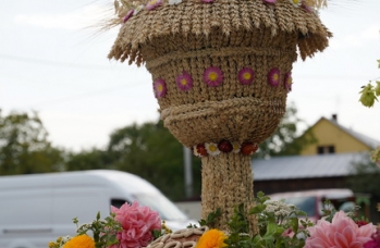 Zdjęcie: DSC03822.jpg