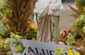 Zdjęcie: DSC03827.jpg