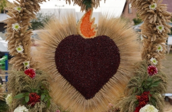 Zdjęcie: DSC03817.jpg