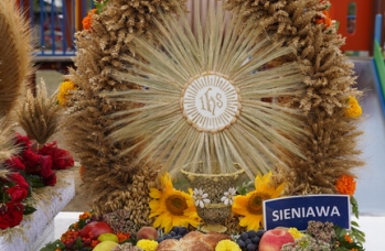 Zdjęcie: DSC03831.jpg