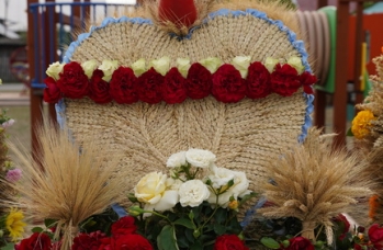 Zdjęcie: DSC03828.jpg