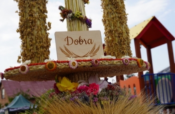 Zdjęcie: DSC03820.jpg