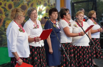 Zdjęcie: DSC04370.jpg