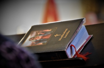 Zdjęcie: 120 lat DHZ (20).jpg