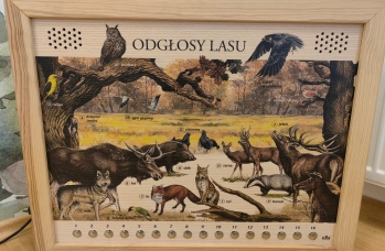 Zdjęcie: Wylewa1 (29).jpg