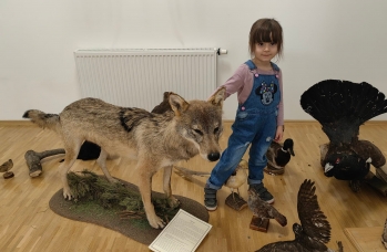 Zdjęcie: Wylewa1 (41).jpg