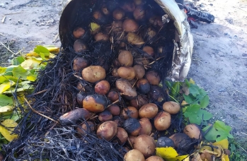 Zdjęcie: Rudka 3 (1).jpeg