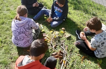 Zdjęcie: Rudka 3 (2).jpg