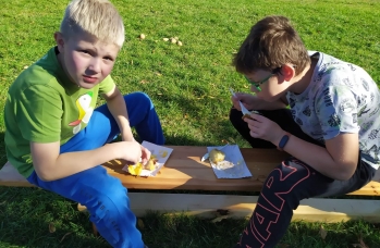 Zdjęcie: Rudka 3 (5).jpeg