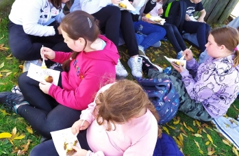 Zdjęcie: Rudka 3 (16).jpeg