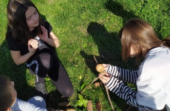 Zdjęcie: Rudka 3 (4).jpeg