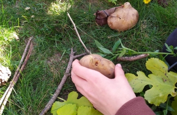 Zdjęcie: Rudka 3 (6).jpeg