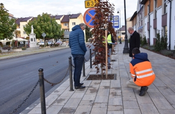 Zdjęcie: odbiór (25).jpg