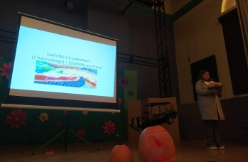 Zdjęcie: rudka (10).jpeg