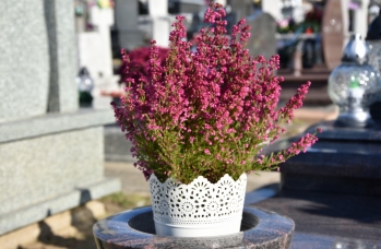 Zdjęcie: pamiętamy (34).jpg