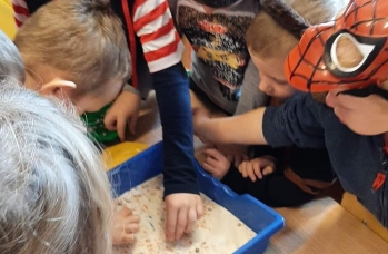 Zdjęcie: received_492799076215445.jpeg