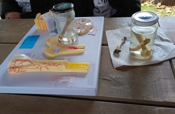 Zdjęcie: III Bieg Niepodległości