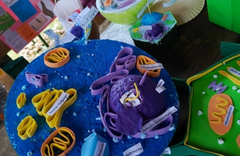 Zdjęcie: III Bieg Niepodległości