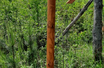 Zdjęcie: Erasmus + zakończenie (10).jpg