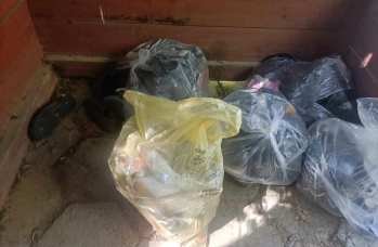 Zdjęcie: Śmieci Czerwona WOla 1.jpg