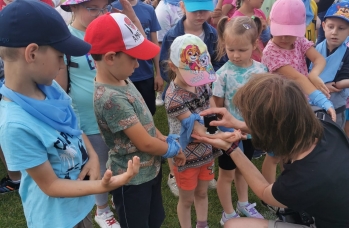 Zdjęcie: z1 (3).jpeg