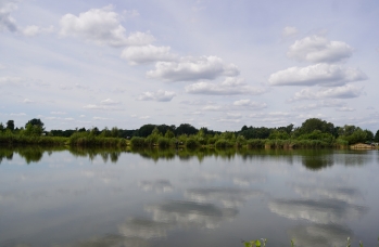 Zdjęcie: 22.jpg