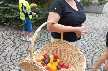 Zdjęcie: profilaktyka (7).jpg