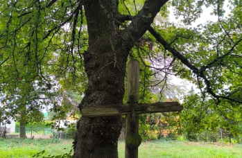 Zdjęcie: wizytacja cerkiew (4).jpeg