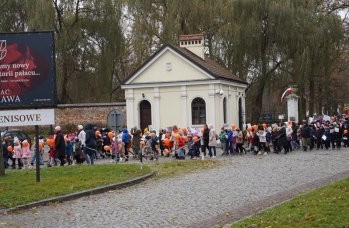 Zdjęcie: DSC00893.JPG