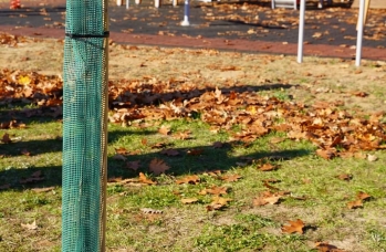 Zdjęcie: FB_IMG_1732189569241.jpg