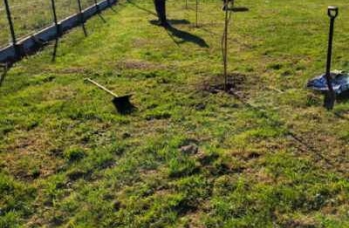 Zdjęcie: IMG_20241121_094503.jpg