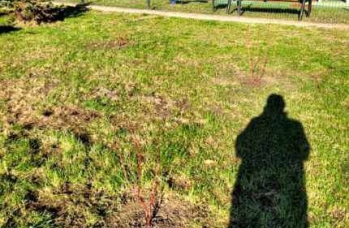 Zdjęcie: IMG_20241121_094513.jpg