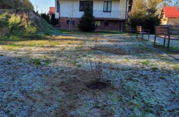 Zdjęcie: IMG_20241121_094458.jpg