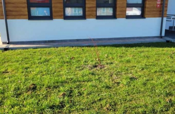 Zdjęcie: IMG_20241121_094438.jpg