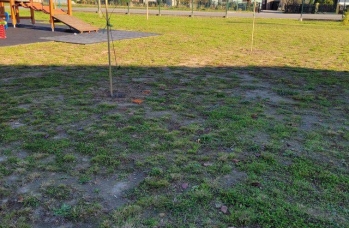 Zdjęcie: IMG_20241121_094358 (1).jpg