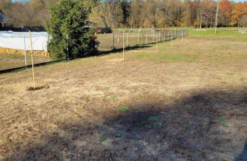 Zdjęcie: IMG_20241121_094500.jpg