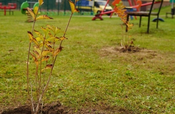 Zdjęcie: FB_IMG_1732189869689.jpg