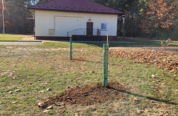 Zdjęcie: IMG_20241121_094445.jpg