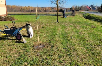 Zdjęcie: IMG_20241121_094506.jpg