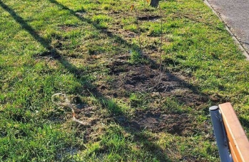 Zdjęcie: IMG_20241121_094520.jpg