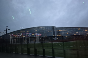 Zdjęcie: 20241119_081202.jpg