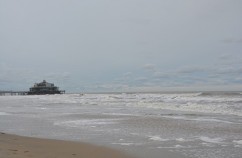 Zdjęcie: DSC_0213.JPG