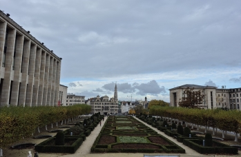 Zdjęcie: 20241117_113047.jpg